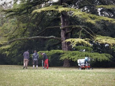 Concimazione mirata apparato radicale