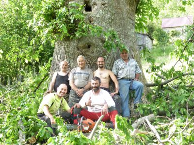 Grandi alberi e grandi amici