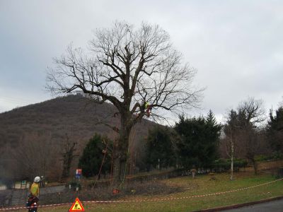 Il castagno dei Fanti Serle - Dopo